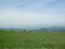 Trek 14 - Sul tetto dell&#39;Appennino dove gli alberi toccano il cielo