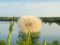 Detention basin of the Secchia river - The Detention basin&#39;s landscape