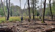 “La Foresta del Circeo rischia di scomparire”. Per questo il piano di contenimento dei daini è necessario e urgente