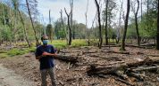 «Tocchiamo con mano le emergenze della foresta»: le visite al Parco nazionale del Circeo