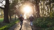 Alberi, ciclabili e corridoio green l'idea del Comune prende forma