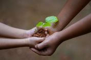 ForestaMi e torneranno le rondini