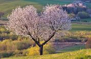 «Quindici ettari di verde in più» Via all'ampliamento del Parco Nord