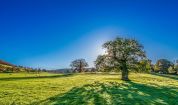 In Lombardia abbiamo un grande patrimonio verde