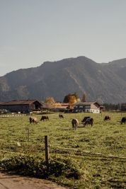 L’esperienza nella natura. Piccola guida agli agriturismi per scoprire la Lombardia