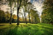 La gioia di 'perdersi' nel verde del Parco del Curone