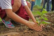 Accordo con il Parco per piantare nuovi alberi