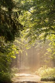 'Ben-essere in natura' alla scoperta del territorio