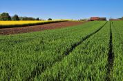 Covo entra a far parte del Parco del Serio e porta in dote fontanili e aree agricole