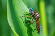 Citizen Science Italia «Noi, cittadini per la scienza Ecco come tuteliamo il Pianeta»