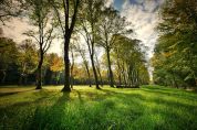 Parco del Ticino al sicuro