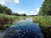 Il borgo dei pescatori Viaggio sul magico Mincio