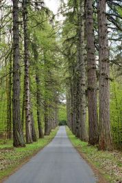 Al Parco Nord in arrivo una visita con audioguida