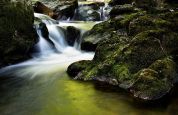 Corridoi «ecologici» e percorsi protetti lungo il torrente Morla