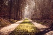 Tra fede e natura: il cammino di San Giovanni si presenta a Lodi