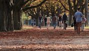 Qui dove la città respira