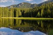 Trekking, escursioni e note L'estate in Trentino fa il pieno di magia