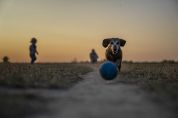 Aree cani, giochi e campo sportivo Il parco di via Adda si rifà il look