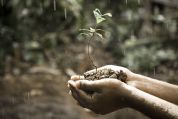 Laboratori di 'forestazione' alla BDC School