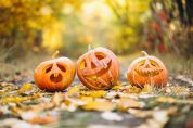 Halloween al Parco Nord: l'appuntamento tra miti, leggende e fauna selvatica