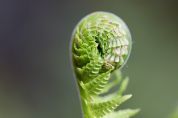 Giornata nella natura, quaranta partecipanti