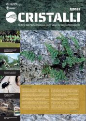 E' online il nuovo numero della rivista 'Cristalli' 