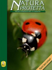 Pubblicato il numero 16 di Natura Protetta