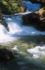 Rapids near the Waterfall of Vallesinella