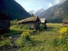 Old Cabins in Campovecchio