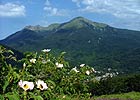 Mt. Casarola (1,979m a.s.l.)