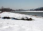 Fresh snow along the river Po near Mezzi Po, country hamlet of Settimo Torinese, March 2004