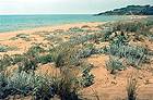 Foce del Fiume Belice e dune limitrofe