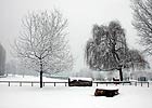 Area Attrezzata delle Vallere in Moncalieri, 27th January 2006