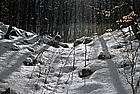 Lago di Vico