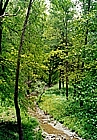 Torrente Madonie che sgorga da Monte