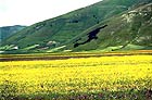 Castelluccio di Norcia