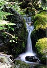 Affluente del fiume Trebbia