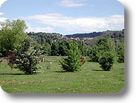 Il Giardino Fenologico Allioni e la collina di Moncalieri