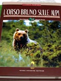 L'orso bruno sulle Alpi