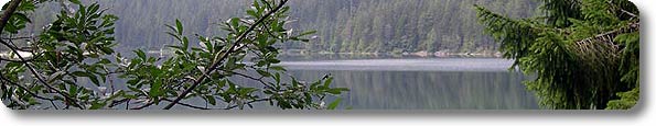 Immagine di apertura Parco Naturale Adamello Brenta