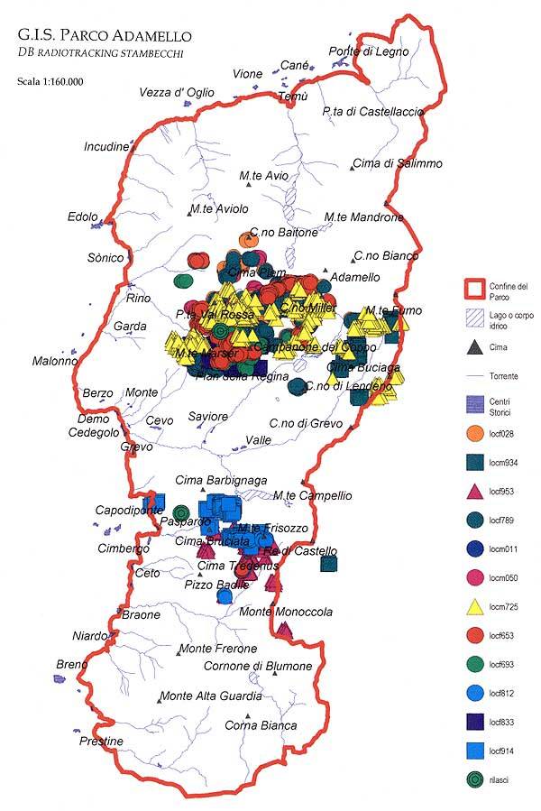 Mappa stambecco