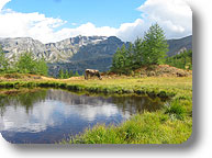 Trekking in Alpe Veglia