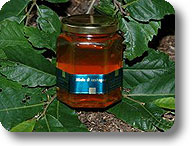 Chestnut tree Honey