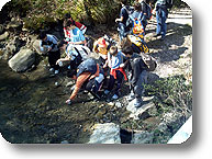 Ecosistema torrente