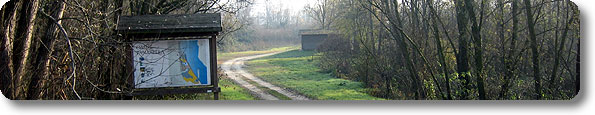 Eröffnungsbild Parco Regionale Veneto del Delta del Po