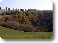 Herbst in Spipola