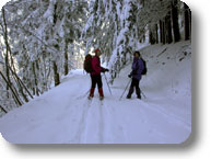 Exkursionistisches Skifahren