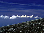 Summitwiesen