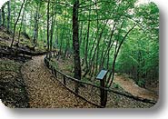 Sentier Lama Bianca-Fonte della Fratta