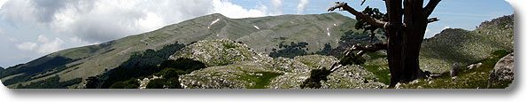 Immagine di apertura Parco Nazionale del Pollino